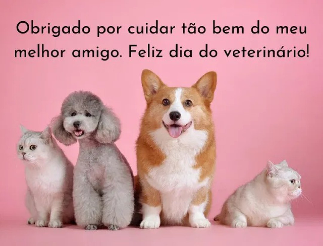 DIA DO MÉDICO VETERINÁRIO - GUARDIÕES DA VIDA E DA SAÚDE