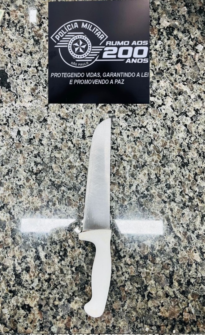 VIOLÊNCIA DOMÉSTICA / AMEAÇA DE 13/11/2025
