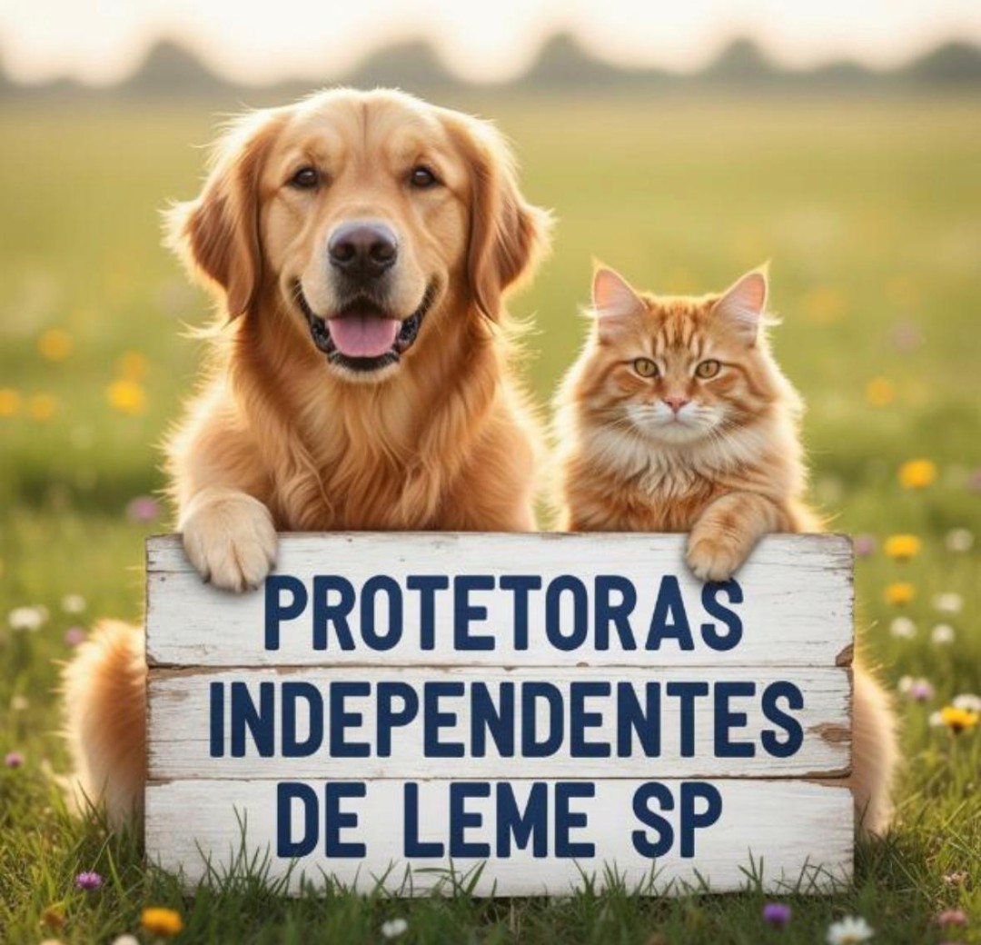GRATIDÃO QUE ALIMENTA VIDAS