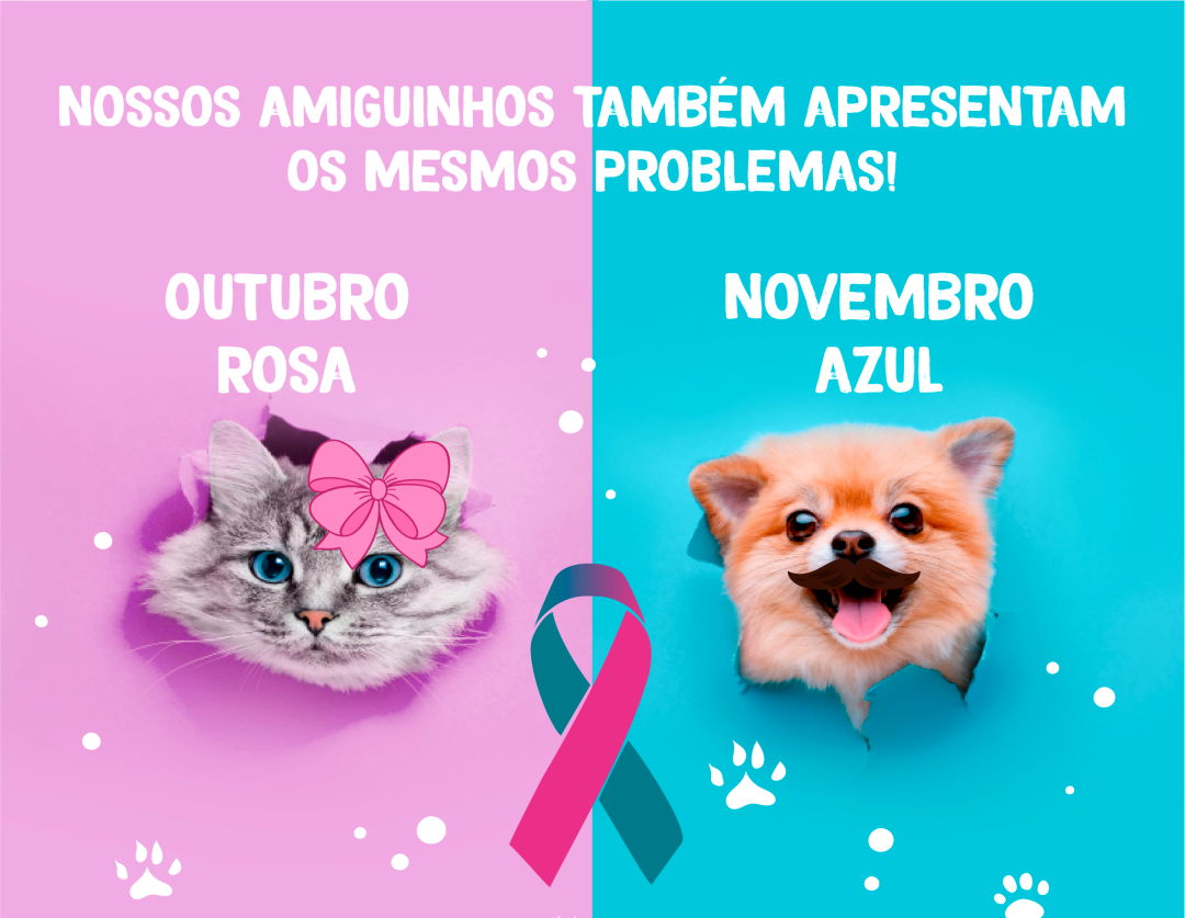 Outubro Rosa e Novembro Azul para PETs