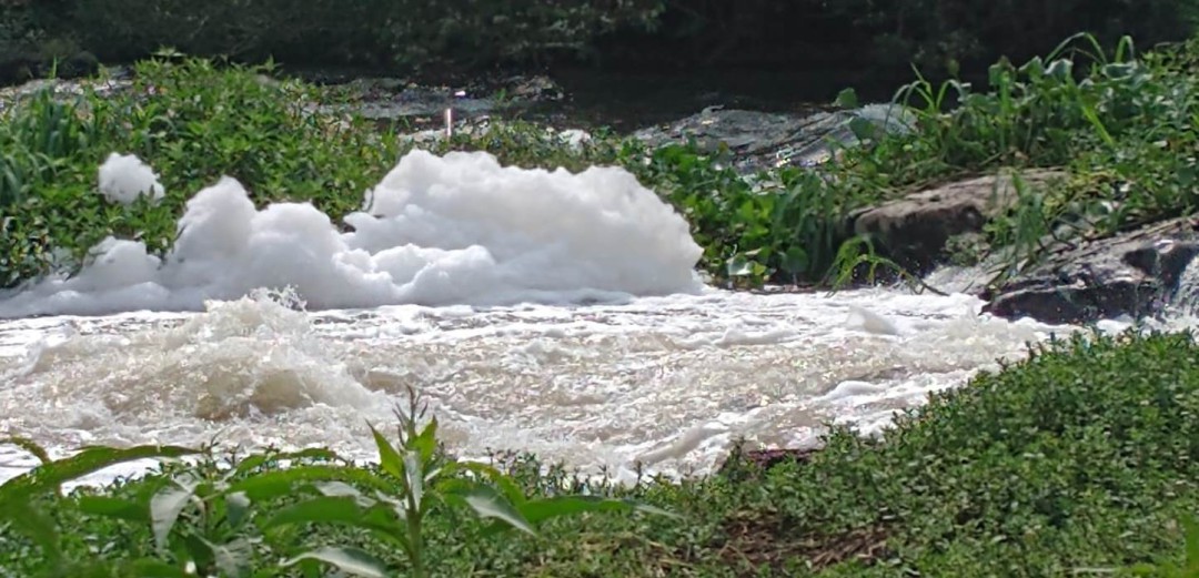 ARARAS ESTÁ MATANDO O RIO MOGI GUAÇU