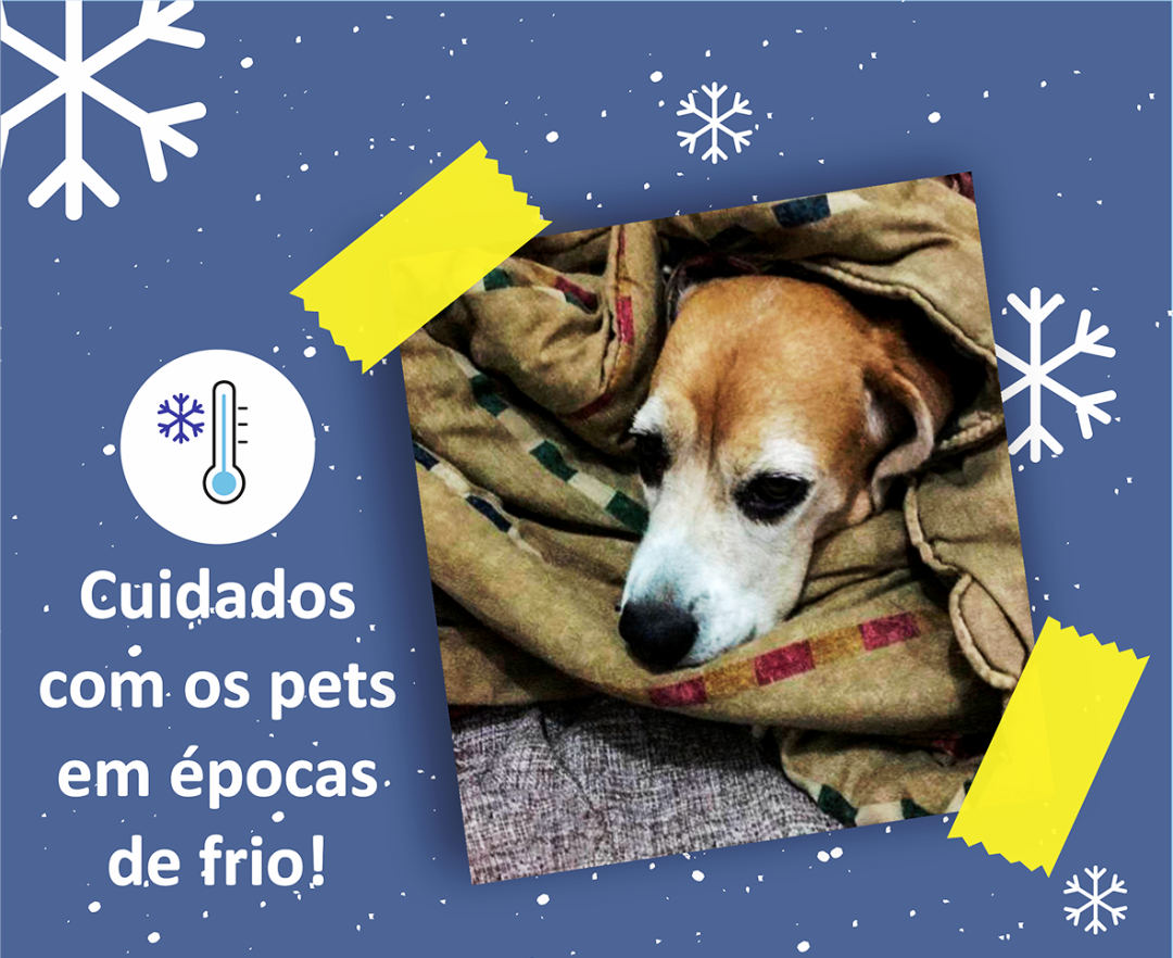 ATENÇÃO AOS CUIDADOS COM OS PETS EM ÉPOCAS DE FRIO