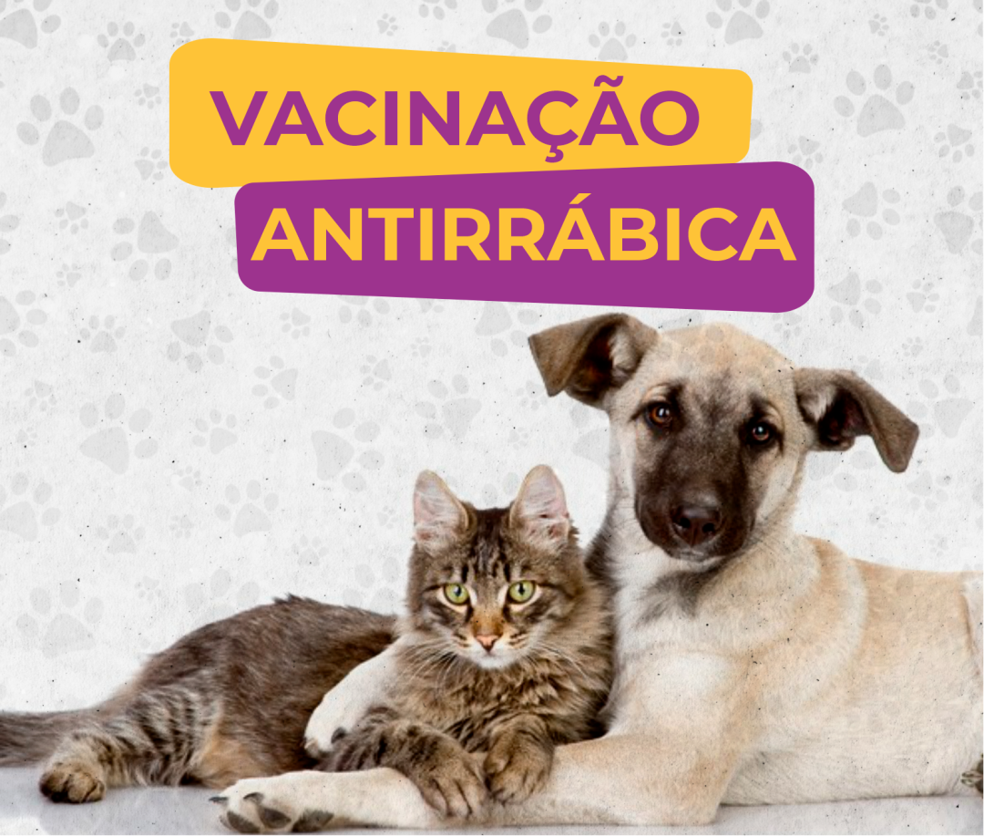 Vacinação Antirrábica