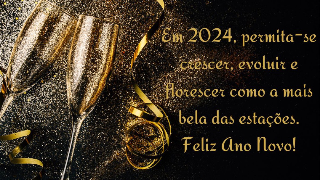 FELIZ ANO NOVO